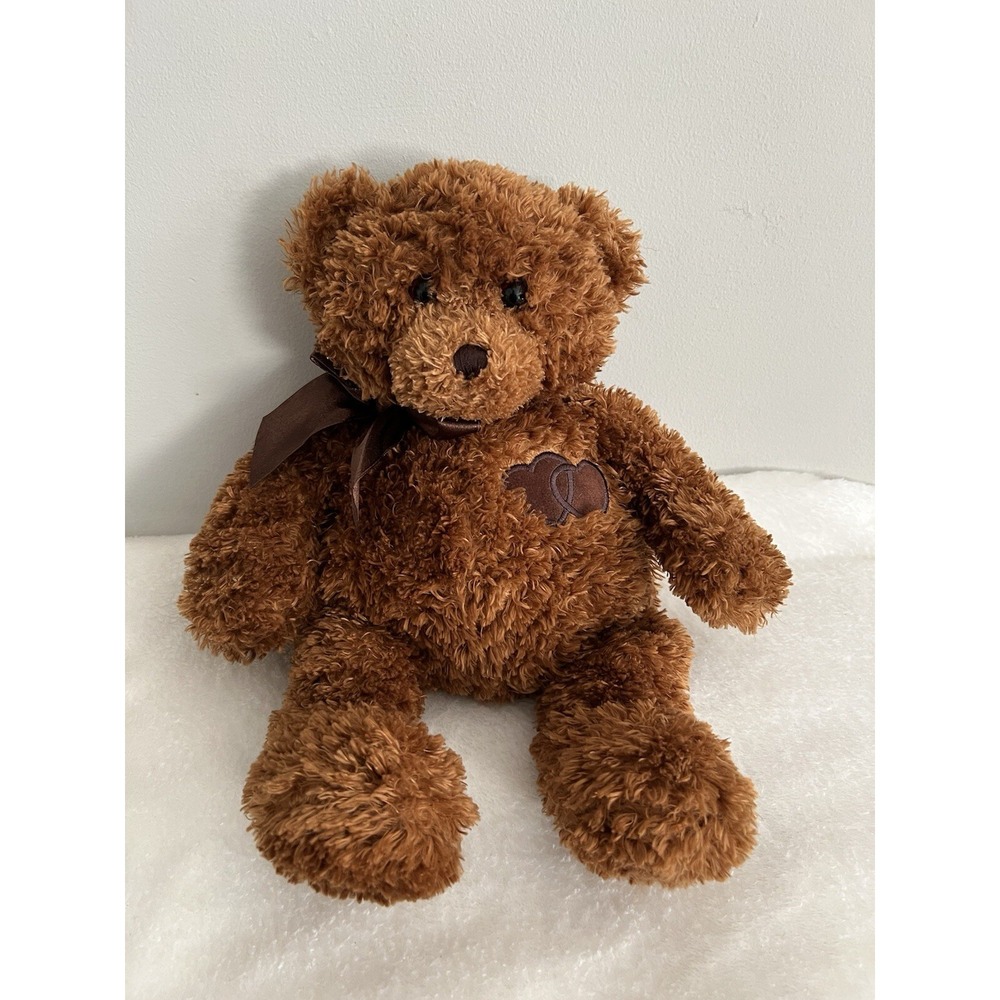 Gund Comfort Cub Brown Teddy Bear Hidden Heart lock Picture Memories Inside